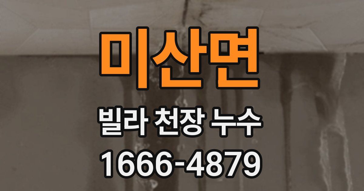 미산면 빌라 천장 누수