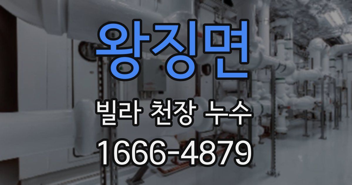 왕징면 빌라 천장 누수