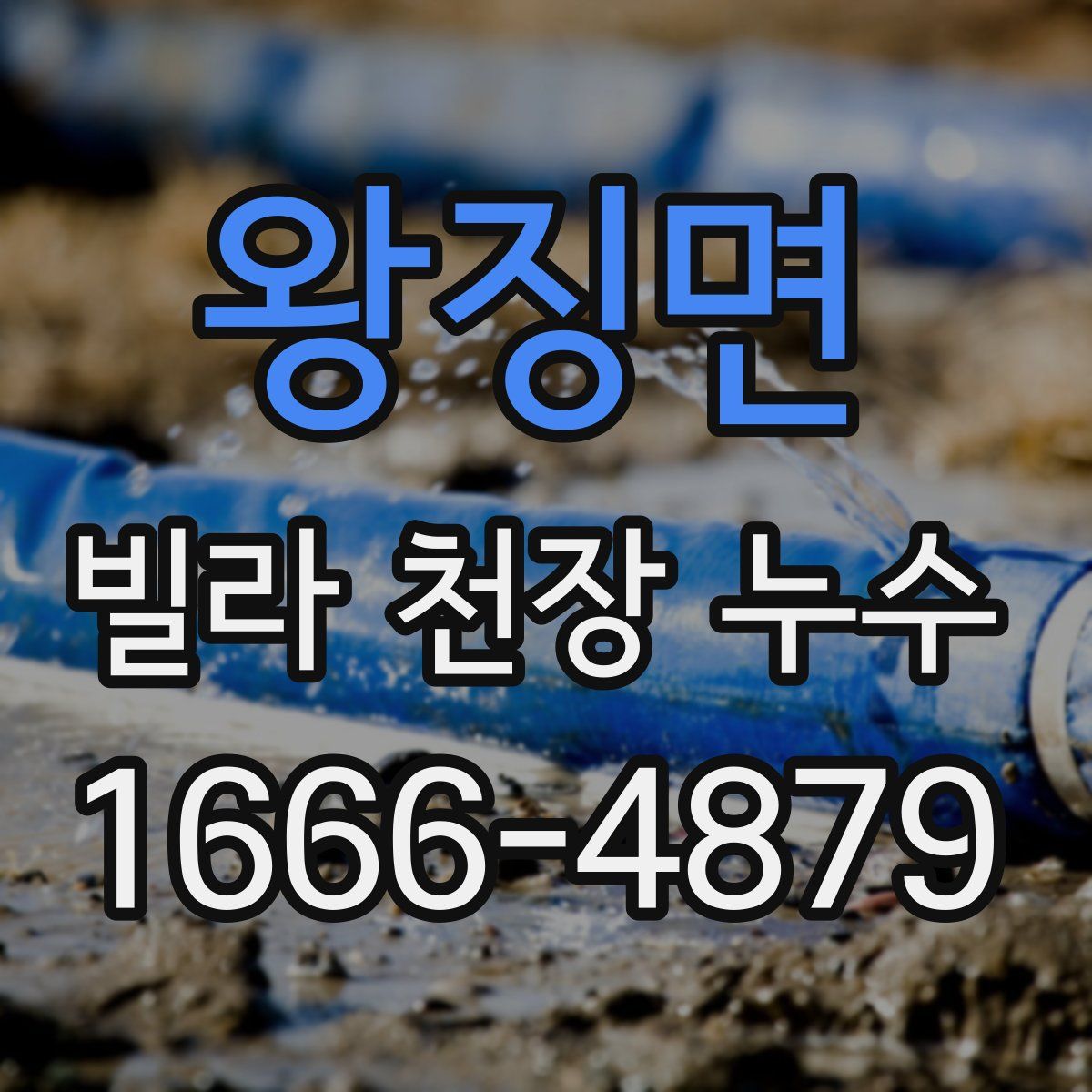 왕징면 빌라 천장 누수