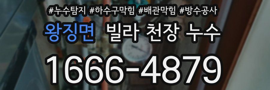 왕징면 빌라 천장 누수