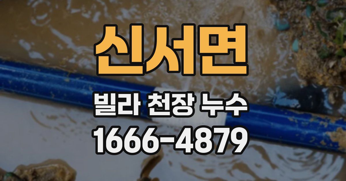 신서면 빌라 천장 누수