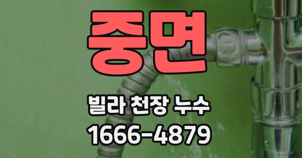 중면 빌라 천장 누수