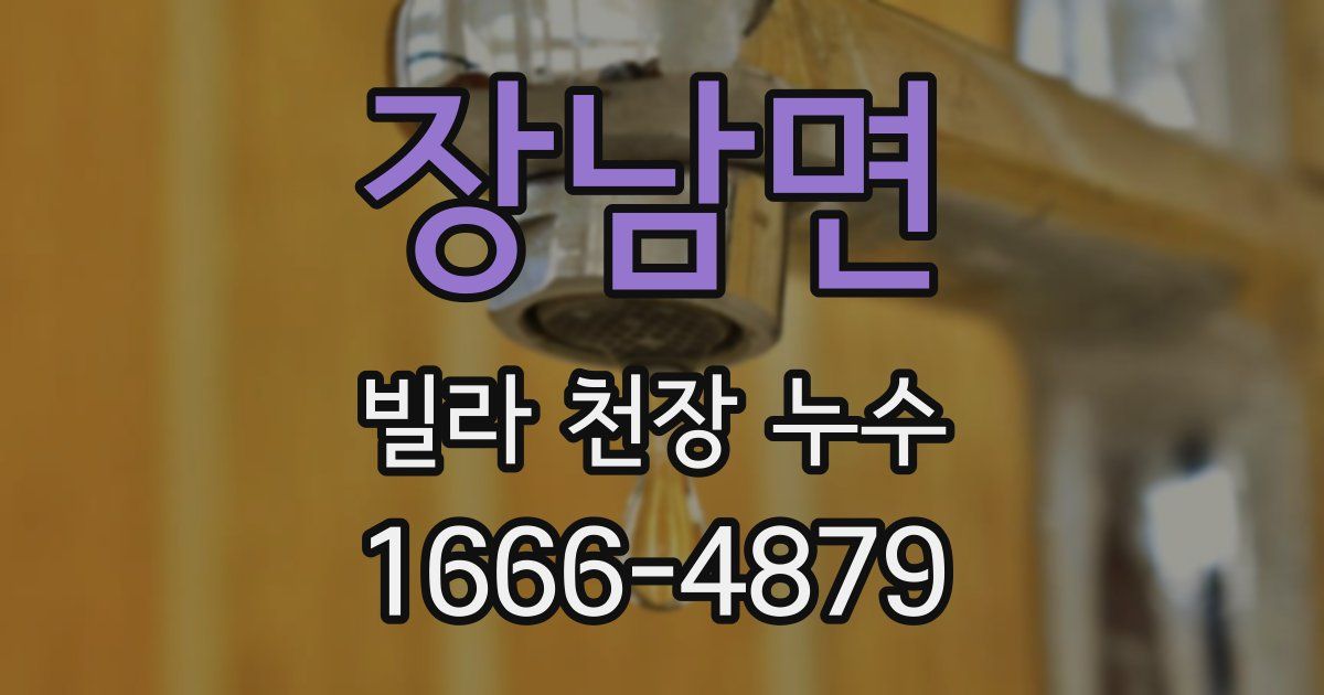 장남면 빌라 천장 누수
