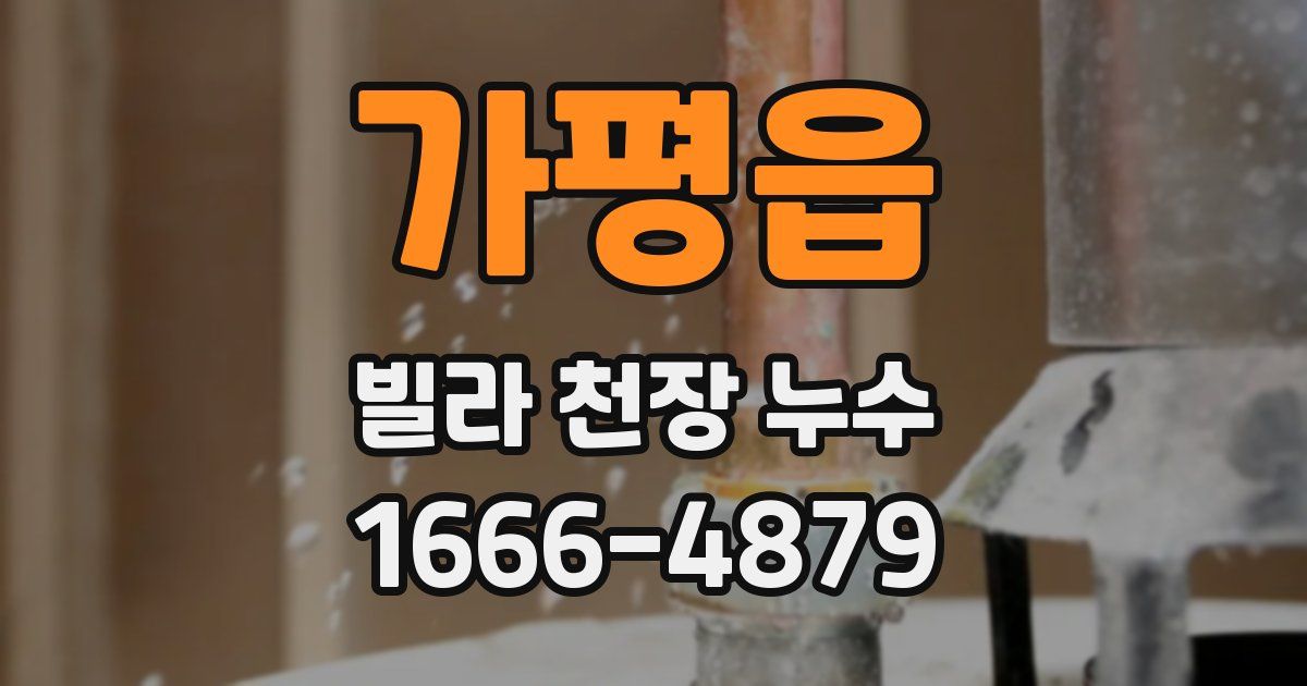 가평읍 빌라 천장 누수