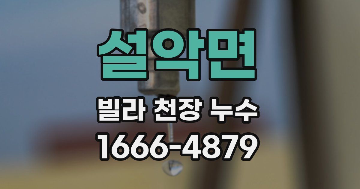 설악면 빌라 천장 누수