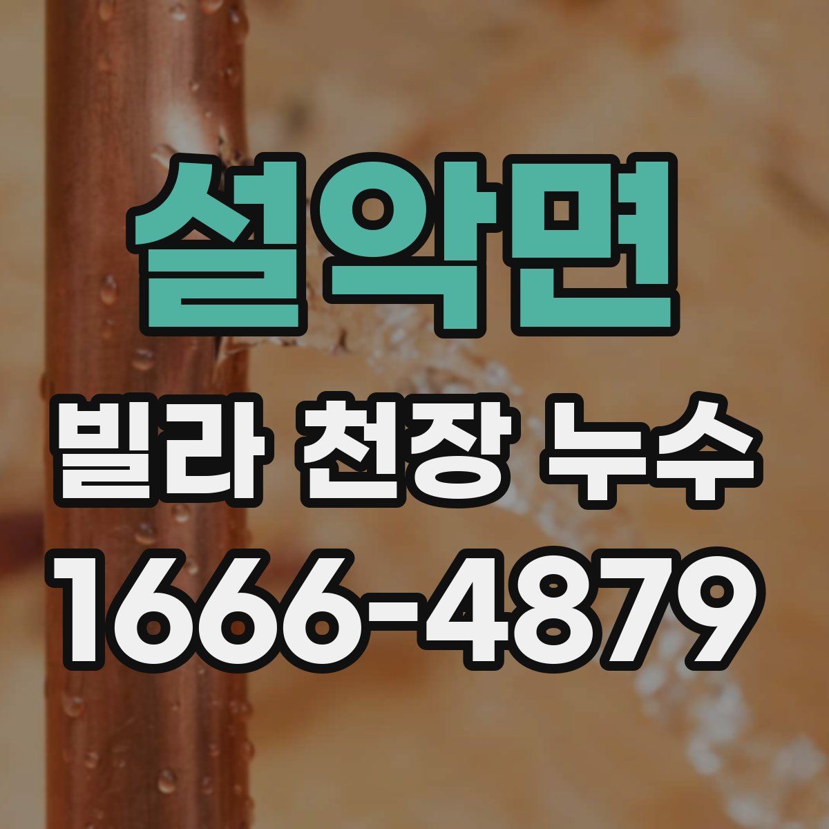 설악면 빌라 천장 누수