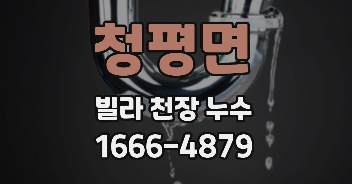 청평면 빌라 천장 누수