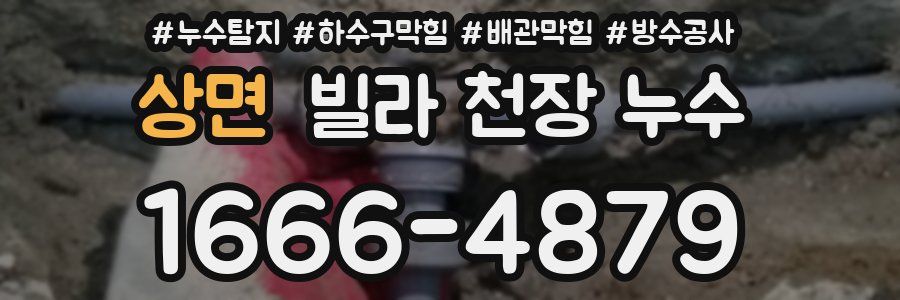 상면 빌라 천장 누수