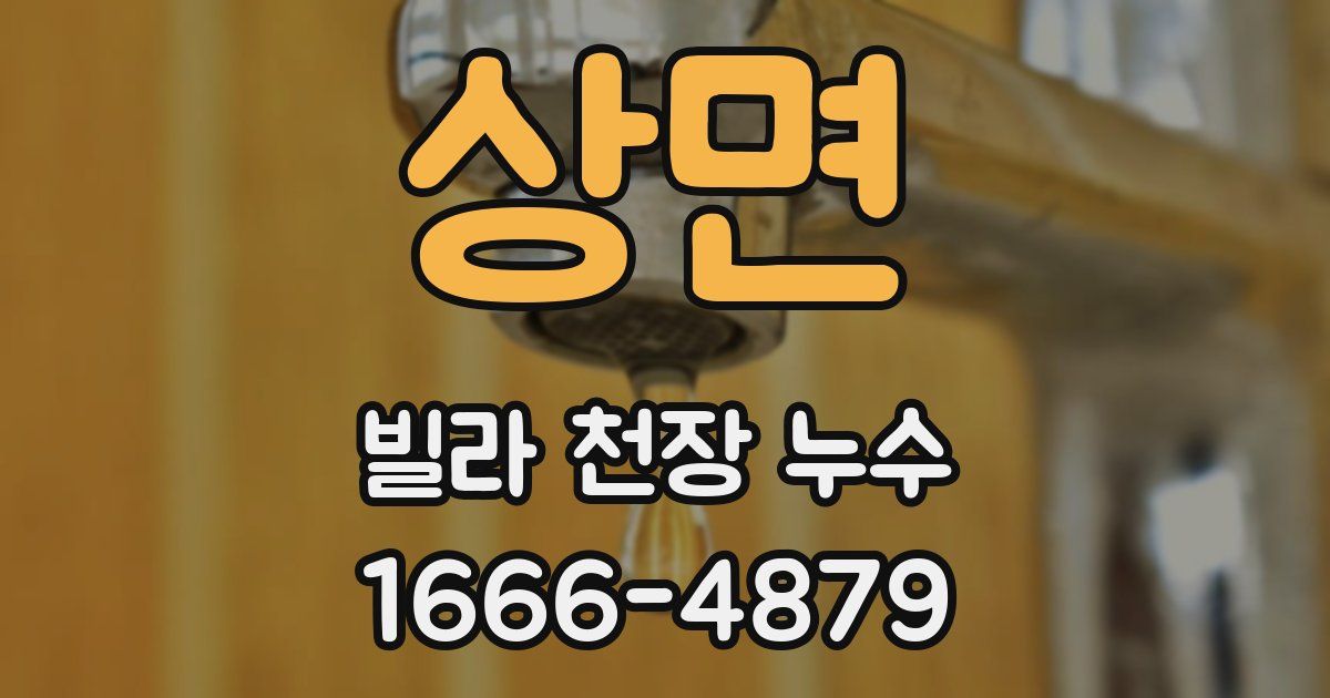 상면 빌라 천장 누수