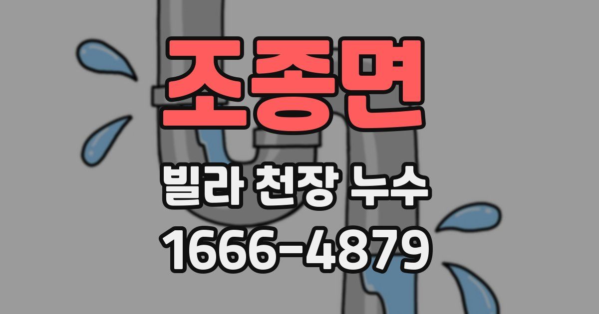 조종면 빌라 천장 누수
