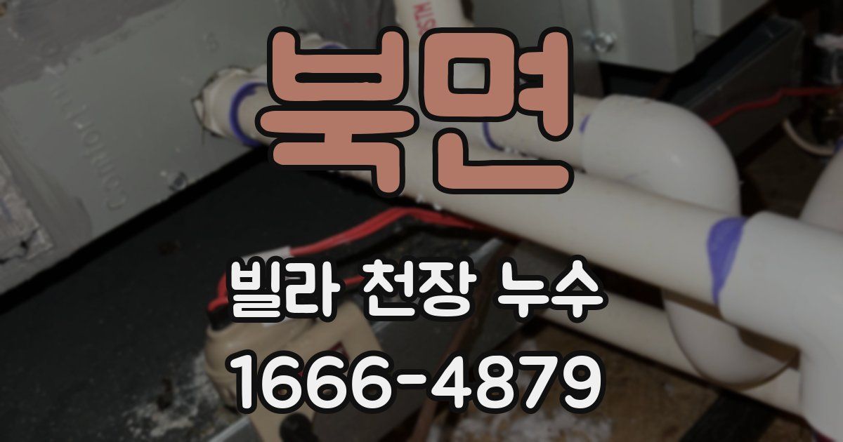 북면 빌라 천장 누수