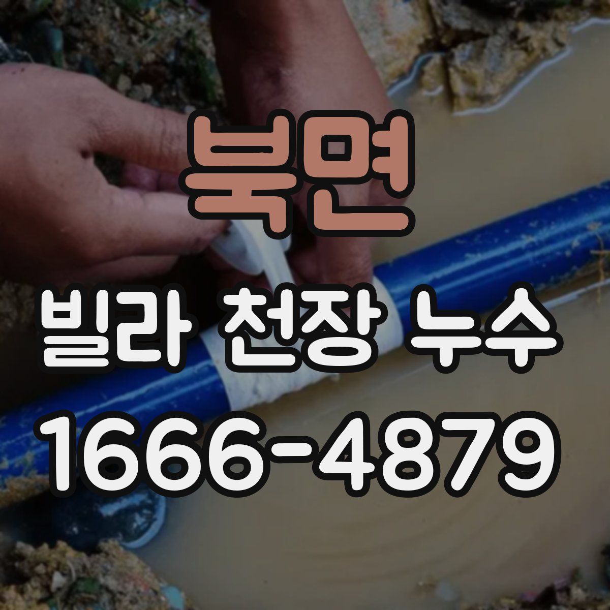 북면 빌라 천장 누수