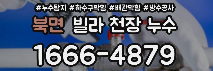 북면 빌라 천장 누수