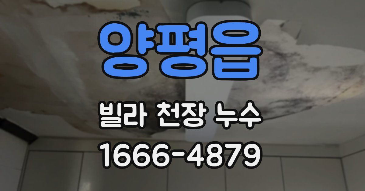 양평읍 빌라 천장 누수
