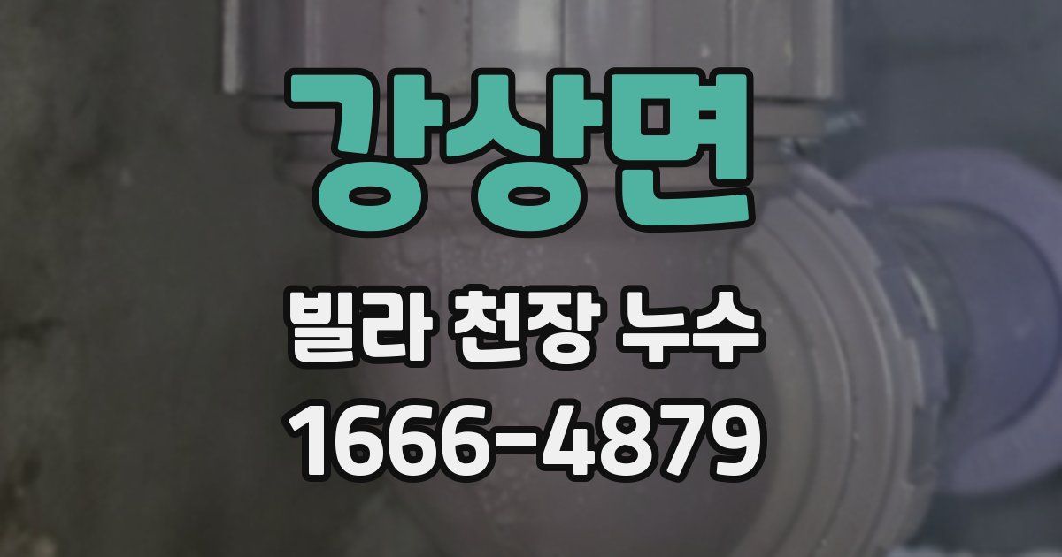 강상면 빌라 천장 누수