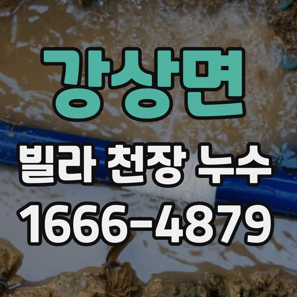 강상면 빌라 천장 누수