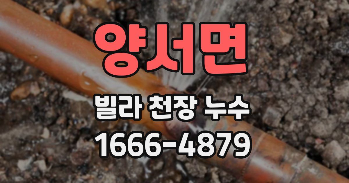 양서면 빌라 천장 누수
