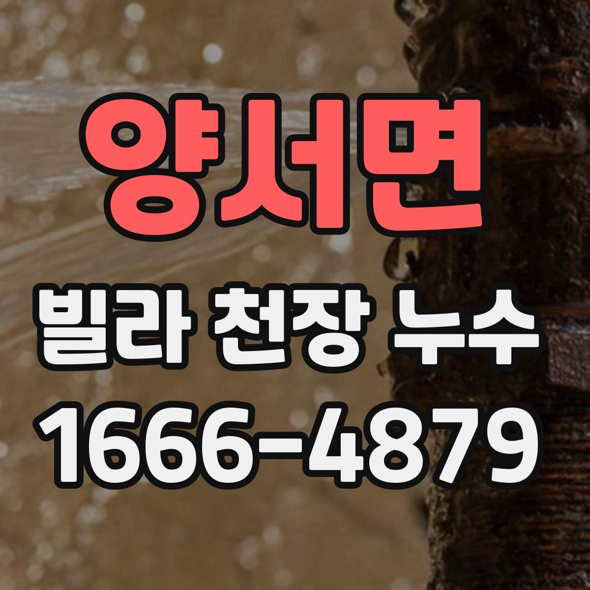 양서면 빌라 천장 누수