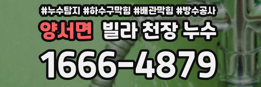 양서면 빌라 천장 누수
