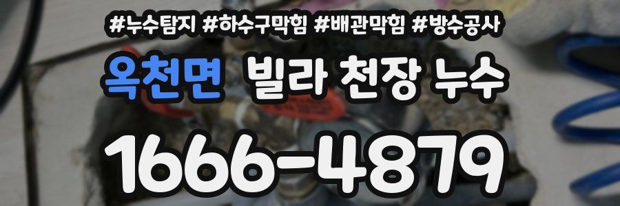옥천면 빌라 천장 누수