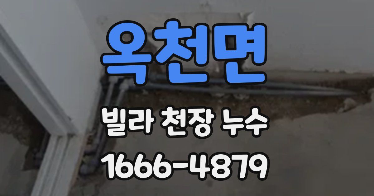 옥천면 빌라 천장 누수
