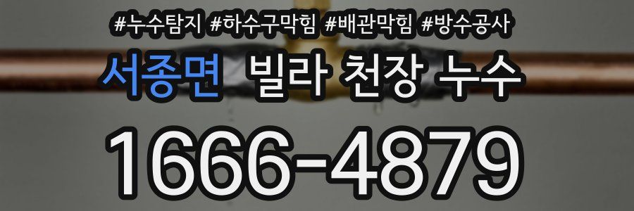 서종면 빌라 천장 누수