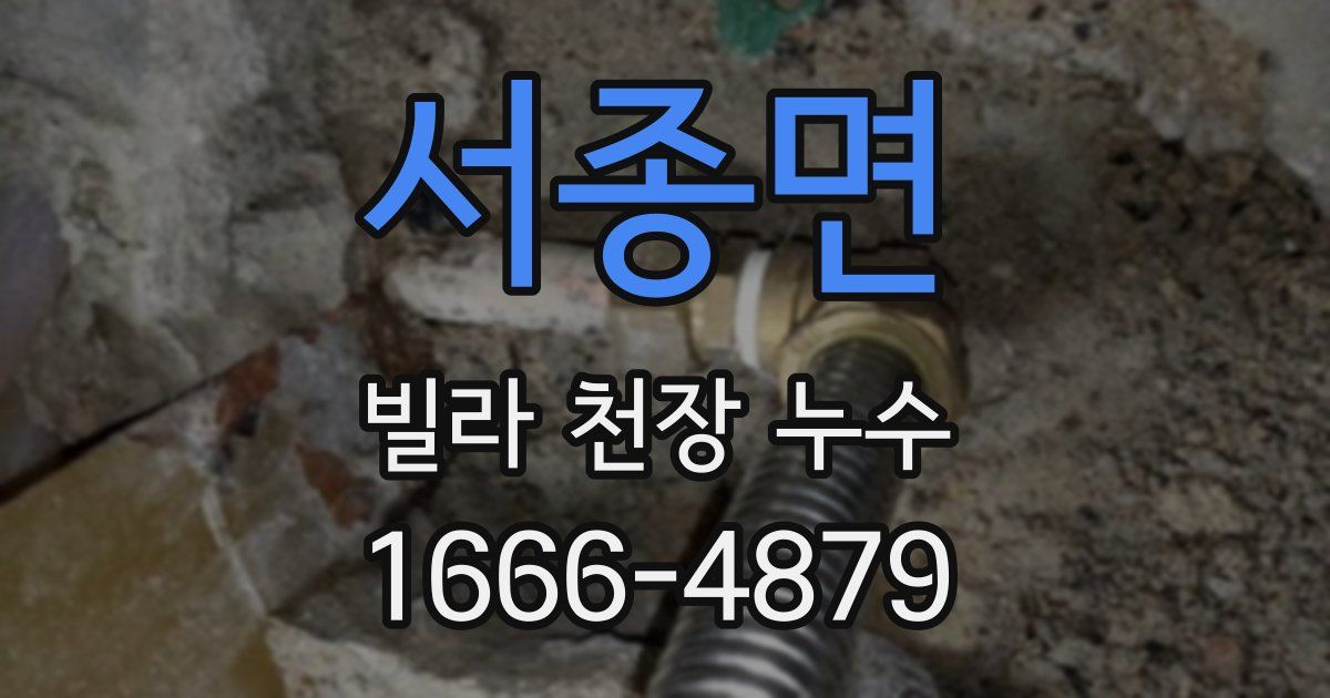 서종면 빌라 천장 누수