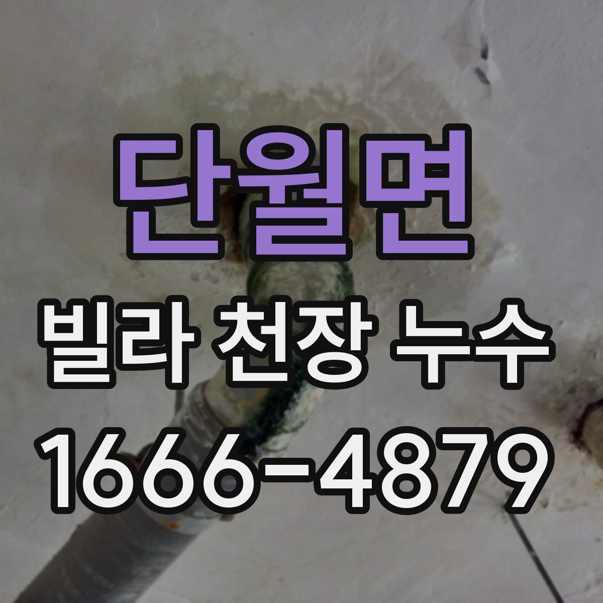 단월면 빌라 천장 누수