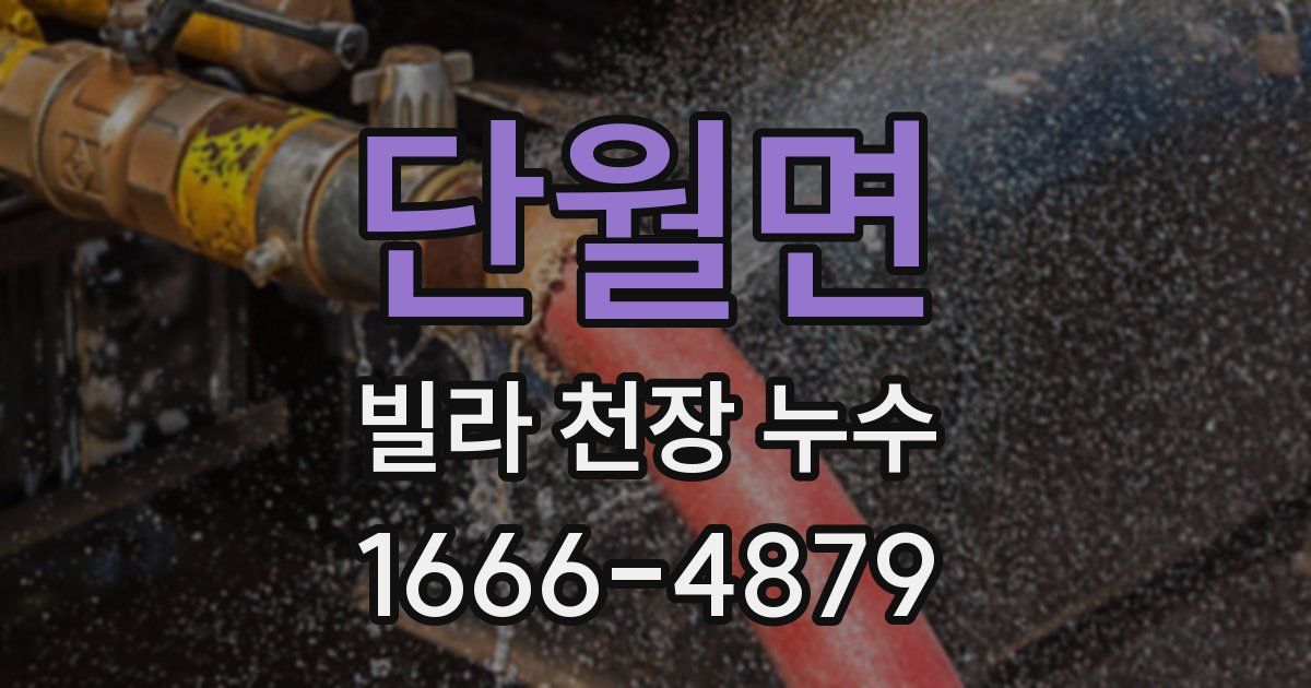 단월면 빌라 천장 누수