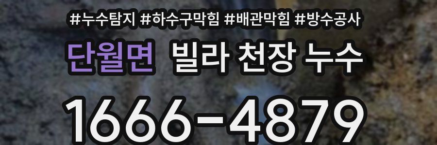 단월면 빌라 천장 누수