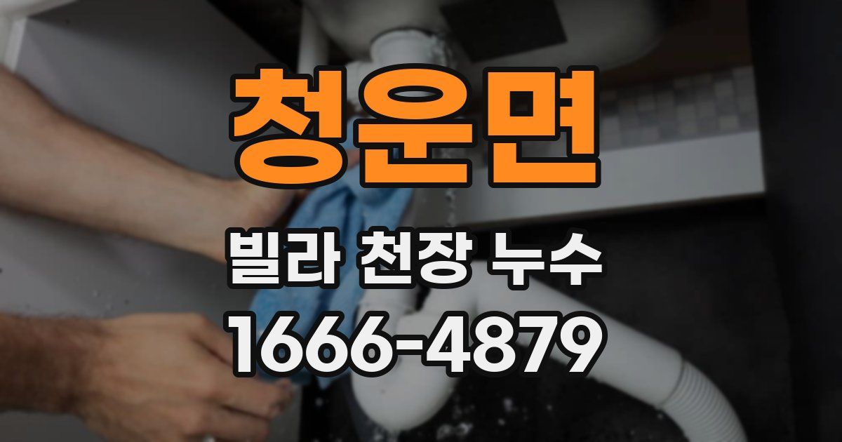 청운면 빌라 천장 누수