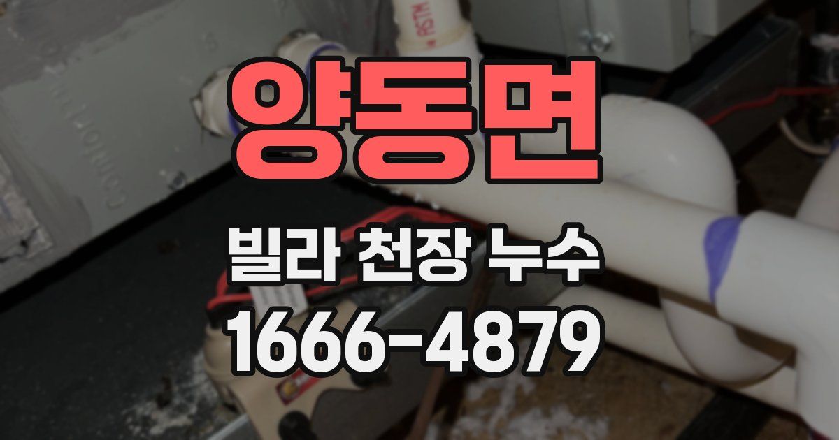 양동면 빌라 천장 누수