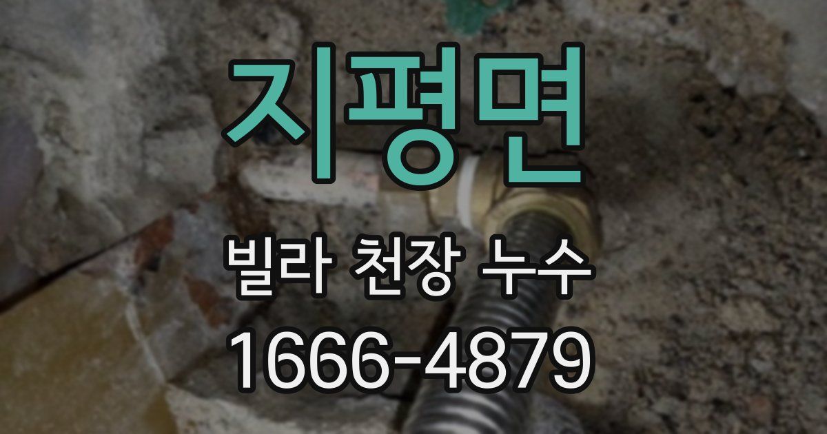 지평면 빌라 천장 누수
