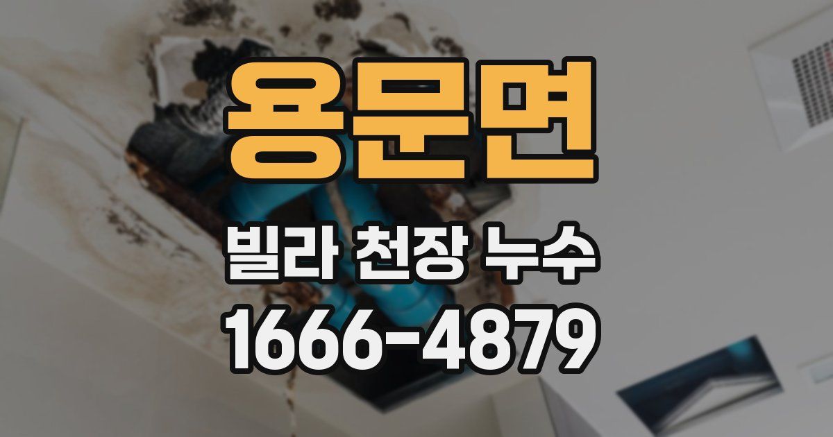 용문면 빌라 천장 누수