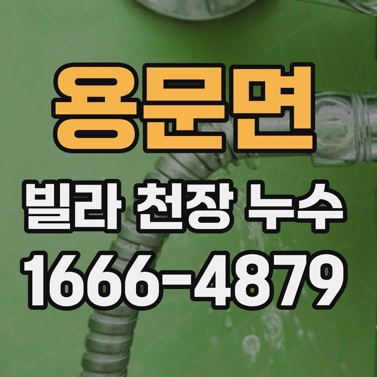 용문면 빌라 천장 누수