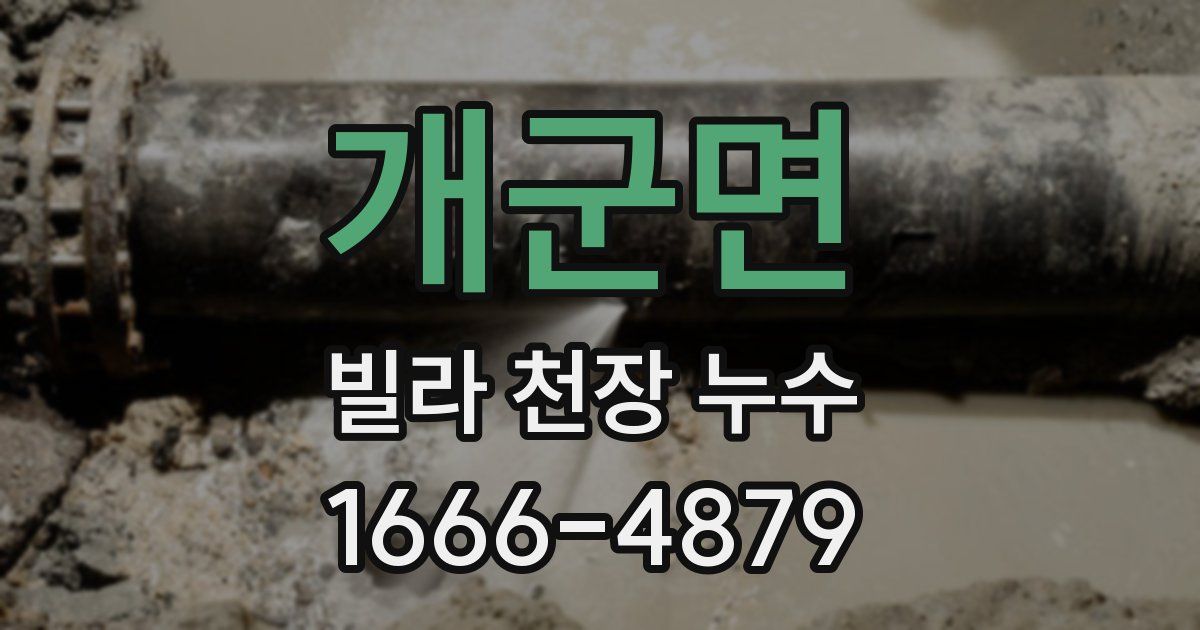 개군면 빌라 천장 누수