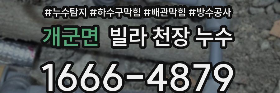 개군면 빌라 천장 누수