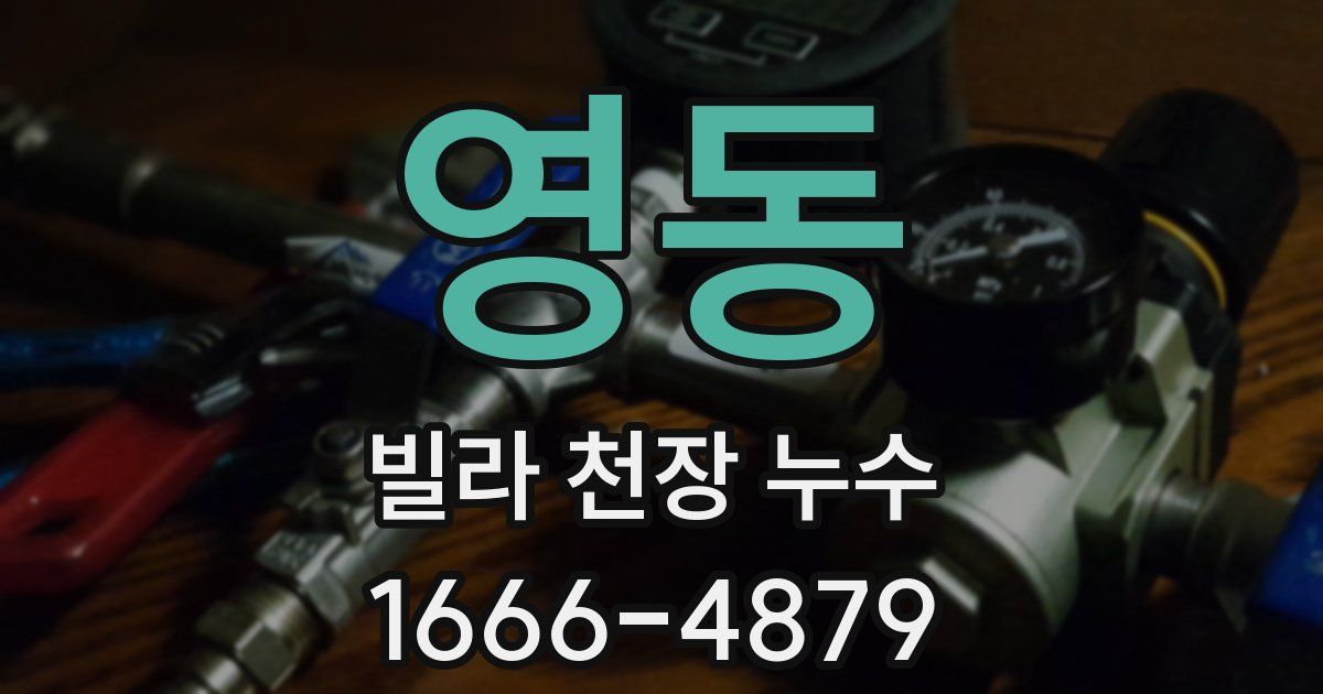 영동 빌라 천장 누수
