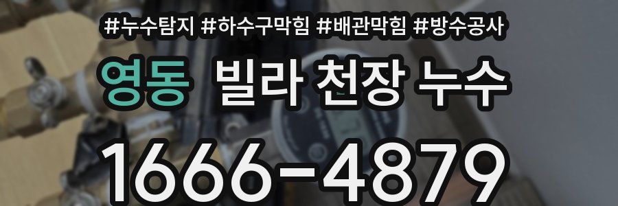 영동 빌라 천장 누수