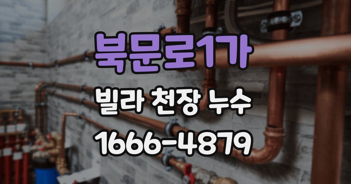 북문로1가 빌라 천장 누수