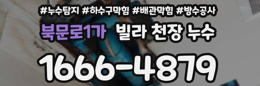 북문로1가 빌라 천장 누수