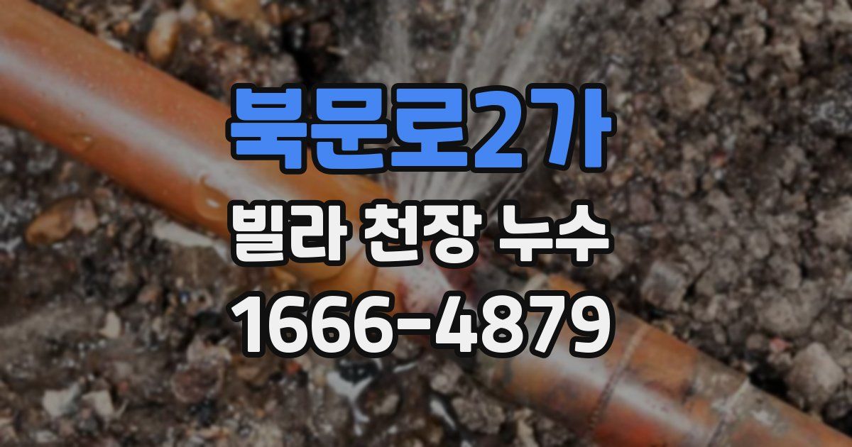 북문로2가 빌라 천장 누수