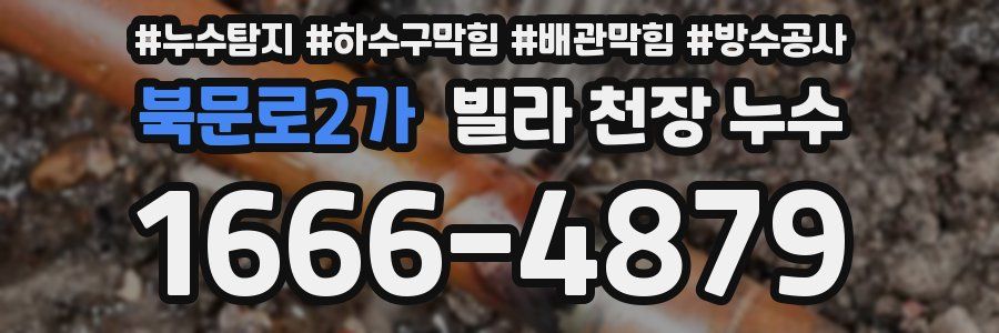 북문로2가 빌라 천장 누수