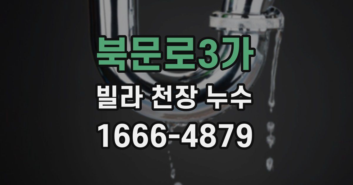 북문로3가 빌라 천장 누수