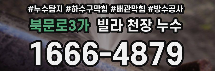 북문로3가 빌라 천장 누수