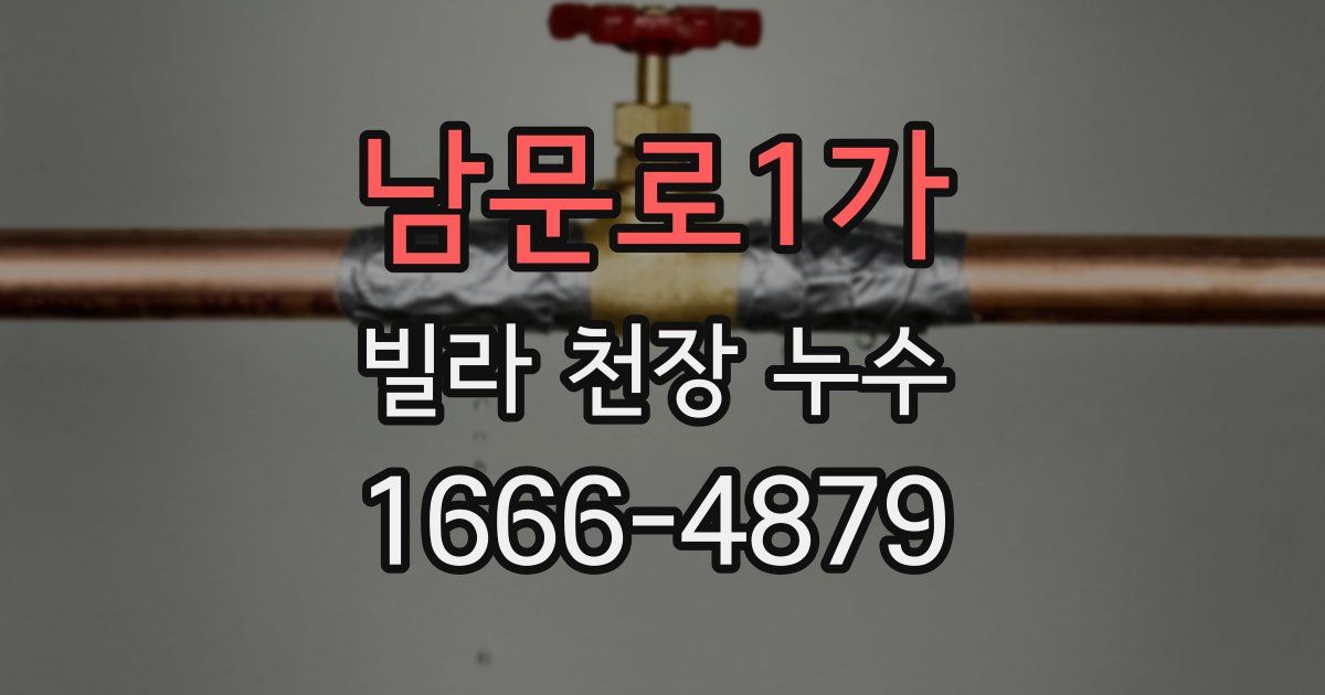 남문로1가 빌라 천장 누수