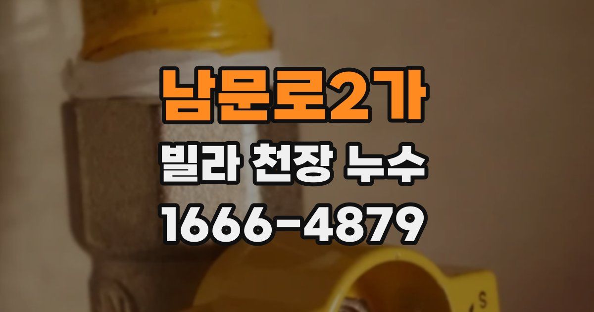 남문로2가 빌라 천장 누수