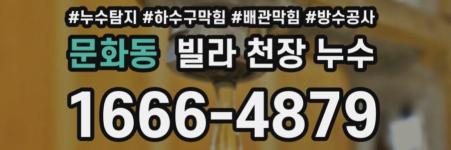 문화동 빌라 천장 누수