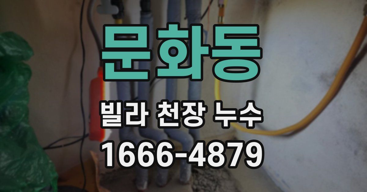 문화동 빌라 천장 누수