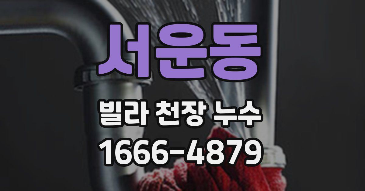 서운동 빌라 천장 누수